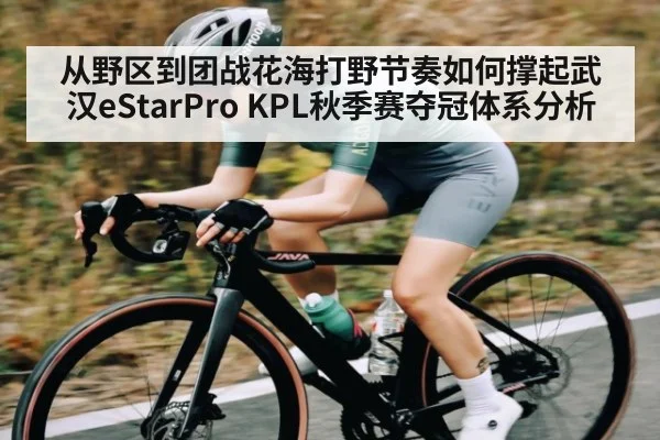 从野区到团战花海打野节奏如何撑起武汉eStarPro KPL秋季赛夺冠体系分析